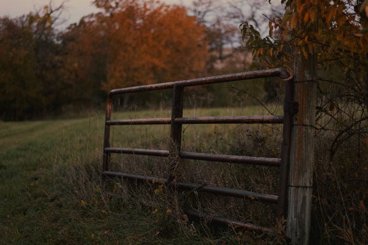 A metal farm gate in a fence line at the edge of a field