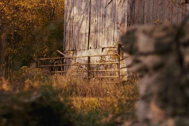 An old metal gate against the weathered boards of a barn, a stone wall soft in the foreground