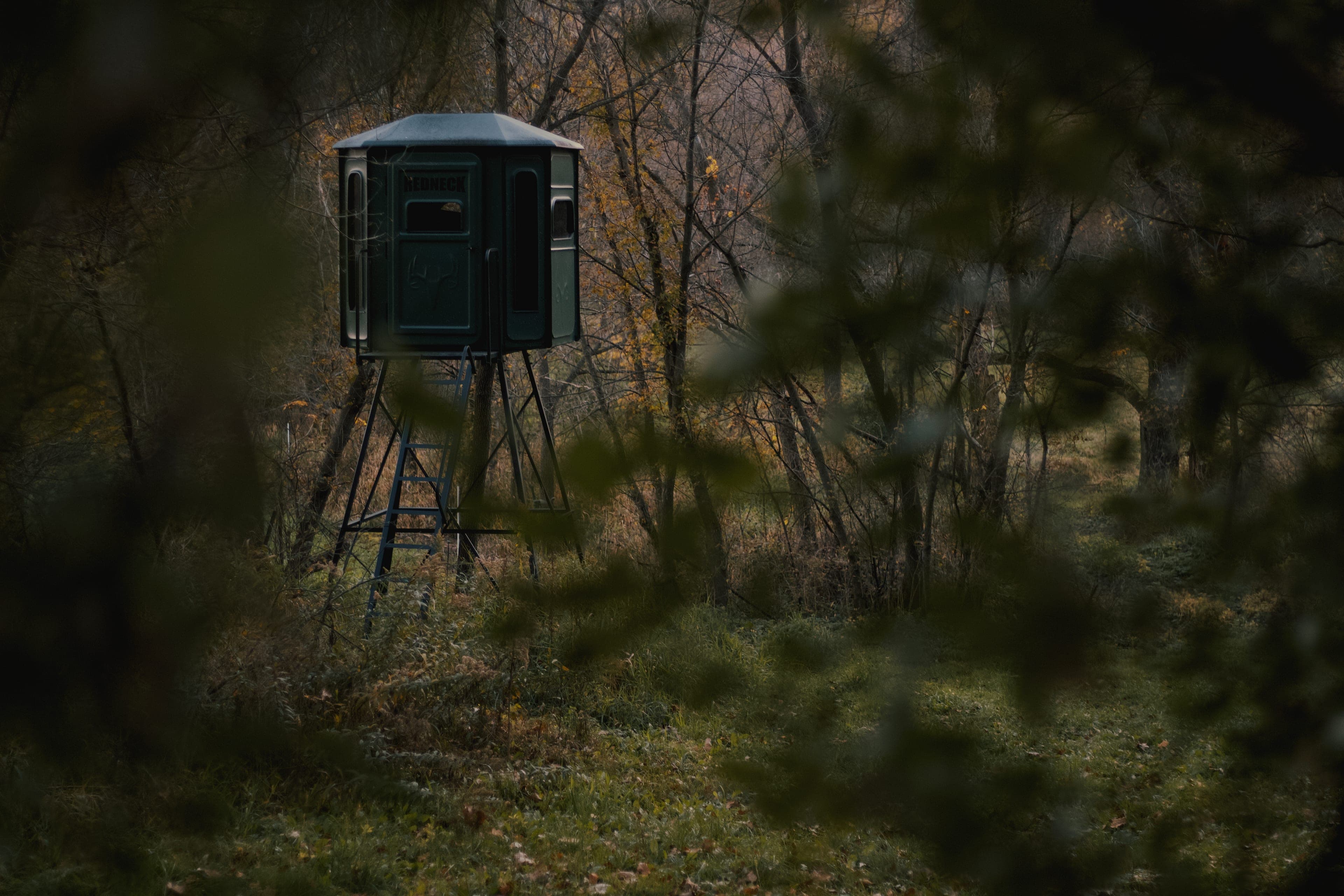 A tower hunting blind seen through autumn leaves at the edge of the timber